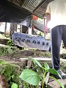 Jestebanano online show from March 11, 2026, 4:13 pm