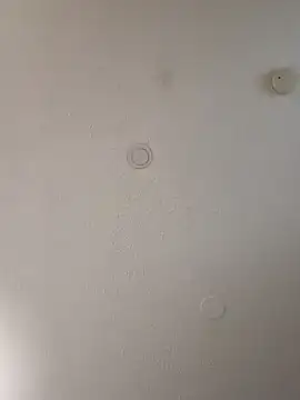 geilerschwanz64 online show from January 10, 2025, 7:04 am