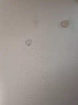 geilerschwanz64 online show from January 18, 2025, 4:31 pm