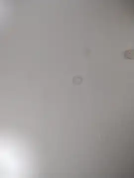 geilerschwanz64 online show from October 24, 2025, 7:05 am