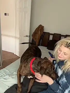 torilux online show from January 31, 2025, 8:43 pm