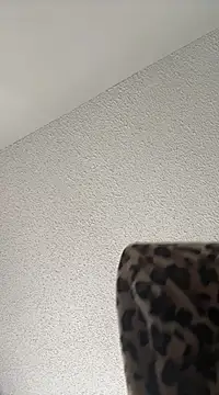 torilux online show from February 22, 2025, 2:52 pm