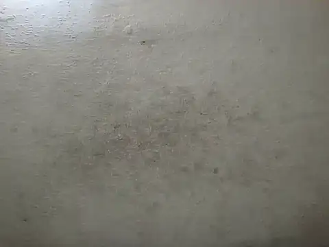 xaviercitoexitado online show from November 6, 2025, 3:24 pm