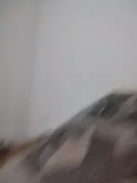 Satiro Sevilla online show from February 24, 2026, 12:19 am