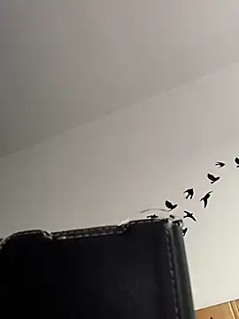 bogland33 online show from March 5, 2026, 7:59 am