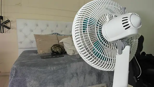 Snapshot of Slut_Milf_ chatting on January 23, 2025, 10:44 pm Slut Milf online show from January 23, 2025, 10:44 pm