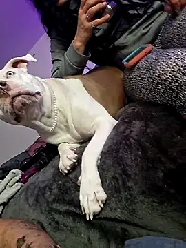 Jokergotherwett online show from March 3, 2026, 8:09 am