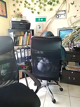 Snapshot of NAJWA-ARAB chatting on January 15, 2025, 2:24 pm NAJWA-ARAB online show from January 15, 2025, 2:24 pm