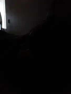 DevinToore online show from February 5, 2026, 11:20 pm