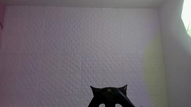 Snapshot of Violetaa_diazz chatting on May 4, 2026, 9:33 pm Violetaa diazz online show from May 4, 2026, 9:33 pm
