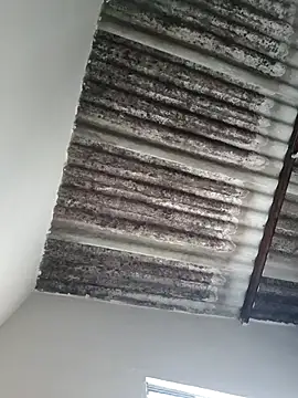 Snapshot of putoso031 chatting on February 23, 2025, 6:23 pm putoso031 online show from February 23, 2025, 6:23 pm