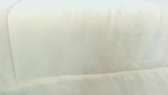 Mar gh online show from December 16, 2024, 2:15 am