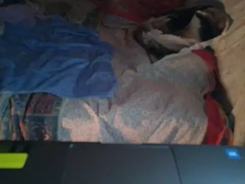 Snapshot of VeneRed chatting on January 17, 2026, 6:55 pm VeneRed online show from January 17, 2026, 6:55 pm