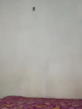 Snapshot of Nicole_cute1 chatting on November 30, 2025, 7:29 pm Nicole cute1 online show from November 30, 2025, 7:29 pm