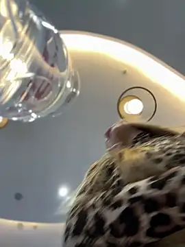 Snapshot of mur_girl chatting on December 30, 2024, 12:42 pm mur girl online show from December 30, 2024, 12:42 pm