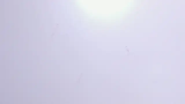 Snapshot of Violet_Grace chatting on February 17, 2025, 6:26 pm Violet Grace online show from February 17, 2025, 6:26 pm