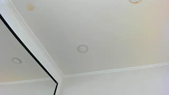 Snapshot of Loggan_donnelly chatting on March 10, 2025, 10:55 pm Loggan donnelly online show from March 10, 2025, 10:55 pm