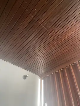 Praga Pink online show from March 3, 2026, 2:12 pm