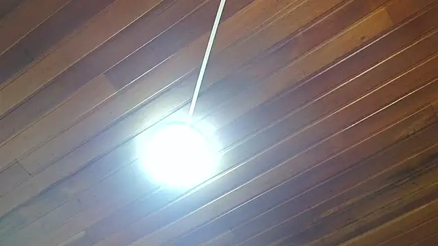 georgia oli online show from November 15, 2025, 1:25 am