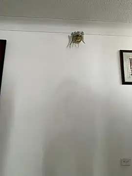 HannaSmiith online show from March 16, 2025, 1:27 pm