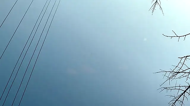 Snapshot of QianF-666 chatting on February 13, 2025, 9:30 am QianF-666 online show from February 13, 2025, 9:30 am