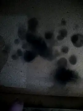 Snapshot of Leocesar37 chatting on April 13, 2026, 2:17 am Leocesar37 online show from April 13, 2026, 2:17 am