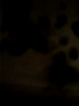 Snapshot of Leocesar37 chatting on May 25, 2026, 2:23 pm Leocesar37 online show from May 25, 2026, 2:23 pm
