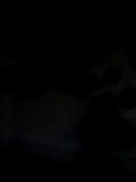 Snapshot of Leocesar37 chatting on June 21, 2026, 5:43 am Leocesar37 online show from June 21, 2026, 5:43 am