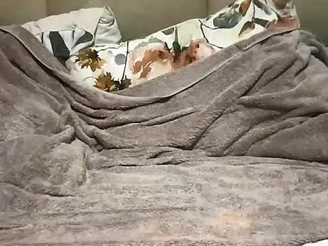 pe netrad0r online show from March 29, 2026, 2:22 am