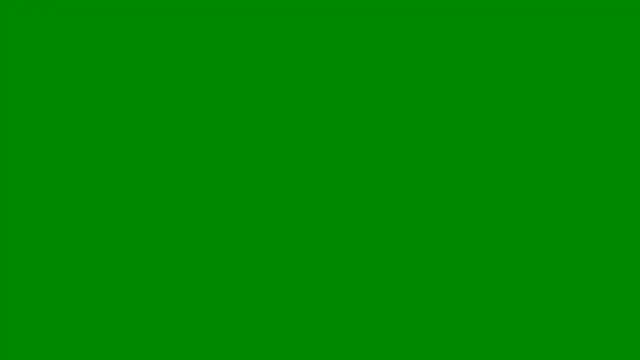 pettergrey1 online show from July 26, 2026, 7:43 pm