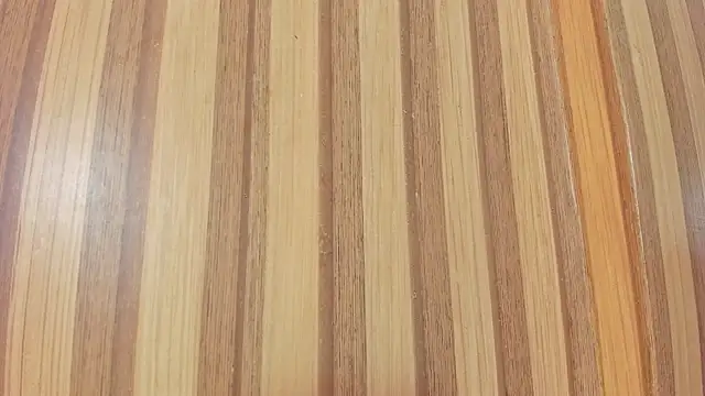 Taylor  cooper online show from April 17, 2026, 6:33 pm