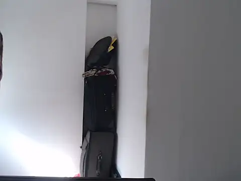 Snapshot of Mastertopdome chatting on February 11, 2026, 12:43 pm Mastertopdome online show from February 11, 2026, 12:43 pm