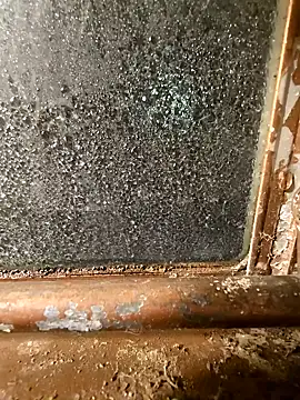 alienbunny online show from January 11, 2025, 5:52 am