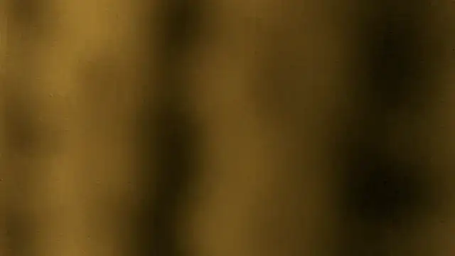 Snapshot of Lina_lolo chatting on March 25, 2026, 11:55 pm Lina lolo online show from March 25, 2026, 11:55 pm