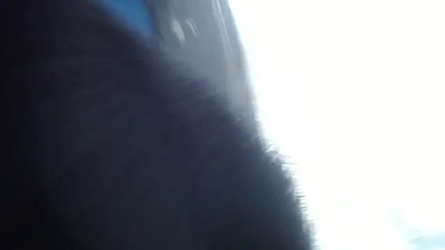 Snapshot of esjrobles chatting on July 31, 2026, 3:55 pm esjrobles online show from July 31, 2026, 3:55 pm