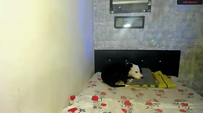 danna sofiah online show from February 18, 2025, 3:32 pm