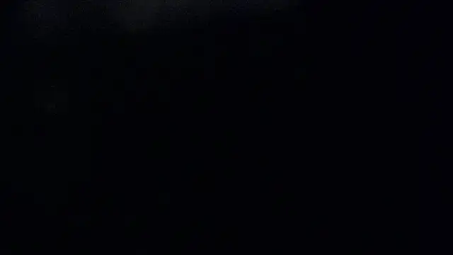 Cutie Asya online show from December 10, 2024, 4:56 am