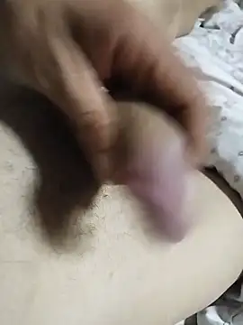 uelytom online show from November 27, 2025, 8:49 am