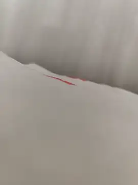 SertSikici022 online show from September 11, 2025, 1:44 pm