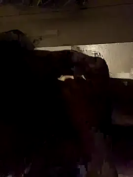 ethergodess9 online show from November 19, 2025, 6:13 am