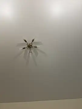 Sweet Khalifa  online show from February 14, 2025, 4:31 pm