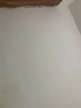 menorbnx online show from November 9, 2025, 6:33 am