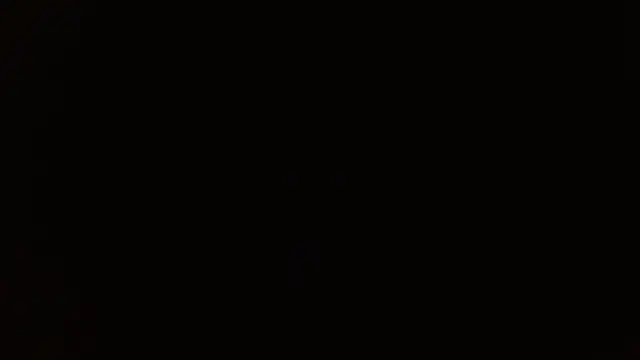 Snapshot of _______the chatting on December 14, 2025, 8:24 pm the online show from December 14, 2025, 8:24 pm