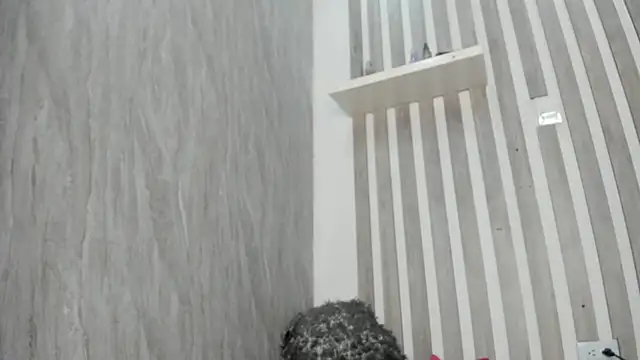 MarieMyller online show from February 20, 2025, 9:09 pm