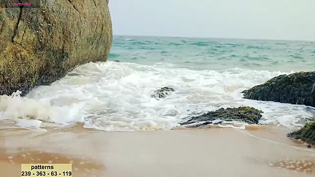 Snapshot of _sex_in_paradise_ chatting on January 16, 2025, 10:55 pm sex in paradise online show from January 16, 2025, 10:55 pm