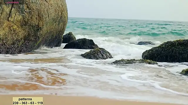 Snapshot of _sex_in_paradise_ chatting on January 20, 2025, 11:54 pm sex in paradise online show from January 20, 2025, 11:54 pm