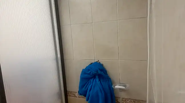 dragon1006 online show from January 6, 2025, 1:09 am