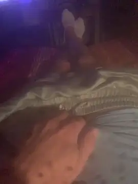 Snapshot of solomec chatting on October 13, 2025, 8:42 pm solomec online show from October 13, 2025, 8:42 pm