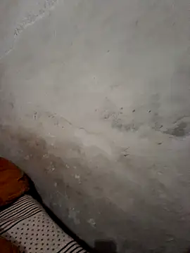 Snapshot of menakshiiikaur chatting on December 19, 2024, 1:40 pm menakshiiikaur online show from December 19, 2024, 1:40 pm