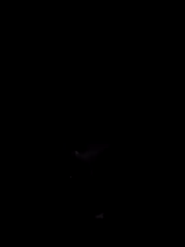 Donstark6669 online show from January 23, 2025, 9:50 am